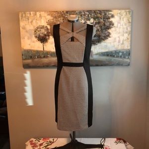 NWT dress. Black with front panel of white polka dots